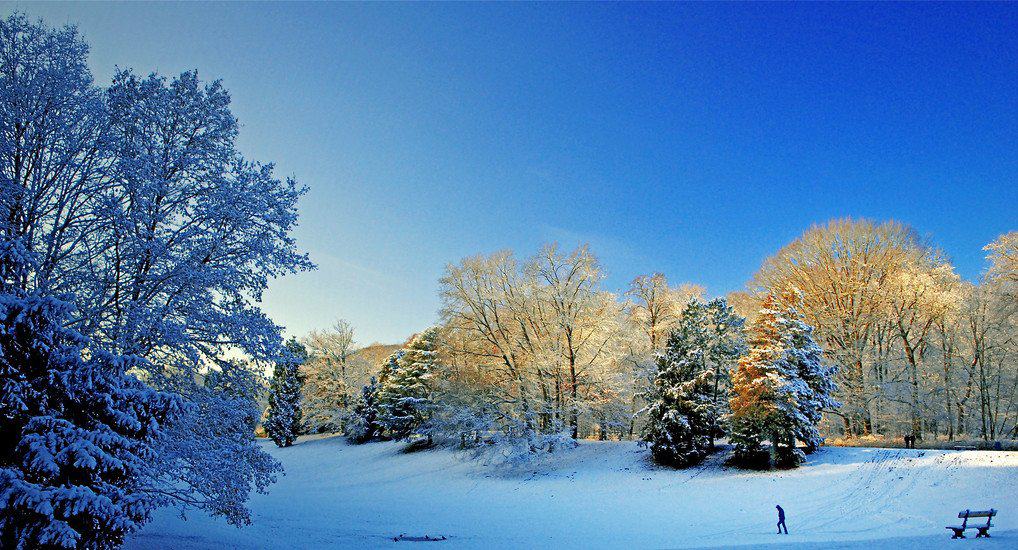 ВЕЛИКАЯ ВЕЧЕРНЯ И БОЖЕСТВЕННАЯ ЛИТУРГИЯ В ХРАМЕ РОЖДЕСТВА ХРИСТОВА